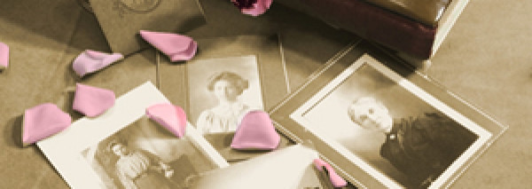 Photos